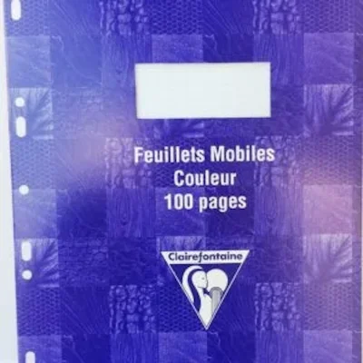 Τετράδιο 100 σελίδων pagesfeuillets mobiles couleur seyes - kalachani.gr