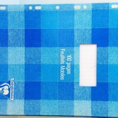 Τετράδιο 100 σελίδων pages feuillets mobiles seyes - kalachani.gr
