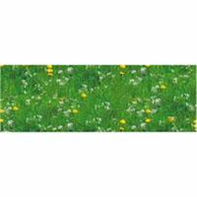 Χαρτόνια 50x70cm λιβάδι - kalachani.gr