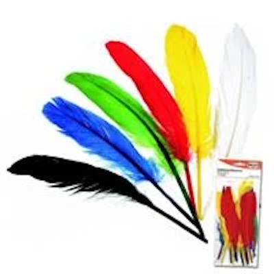 Φτερά Indian 17-20 εκατοστών 17 τεμαχίων - kalachani.gr